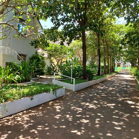 Angels Resort Aradi Socorro Екстериор снимка